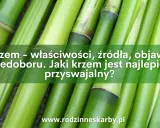 Krzem organiczny: Jaki wybrać? Ekspert radzi, uniknij pułapek!